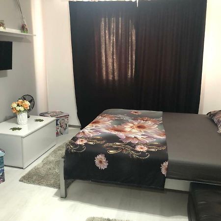 Apartmán Garsoniera Aleea Trandafirilor Băile Herculane Exteriér fotografie
