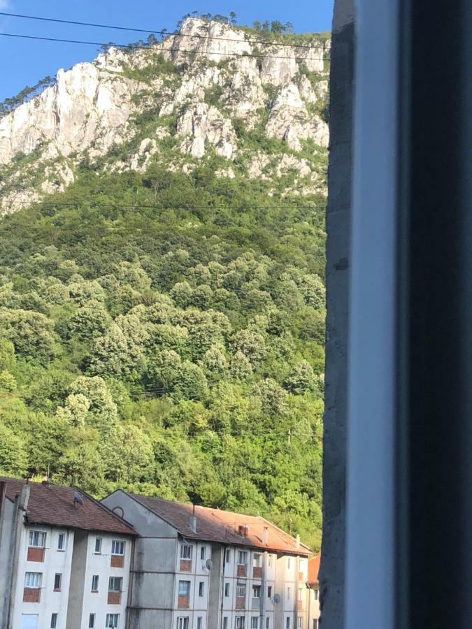 Apartmán Garsoniera Aleea Trandafirilor Băile Herculane Exteriér fotografie