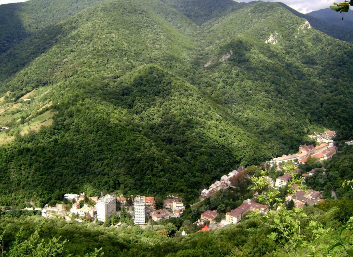 Apartmán Garsoniera Aleea Trandafirilor Băile Herculane Exteriér fotografie