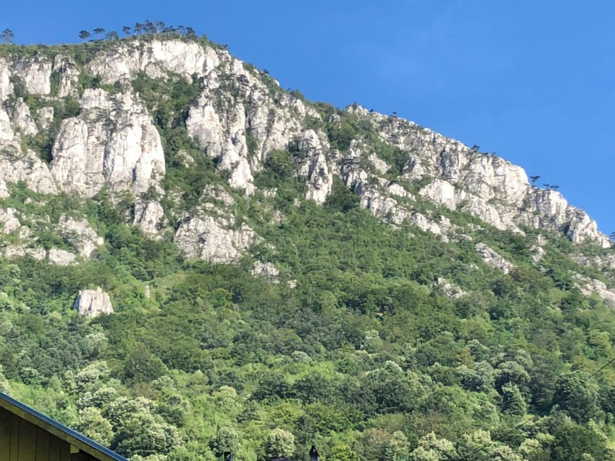 Apartmán Garsoniera Aleea Trandafirilor Băile Herculane Exteriér fotografie